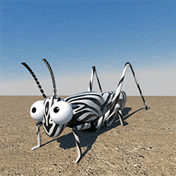 Zebra Hoppy